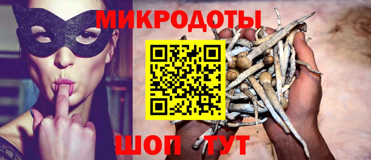 Галлюциногенные грибы Cubensis  Псилоцибиновые грибы мицелий  Богданович  Вход с VPN 